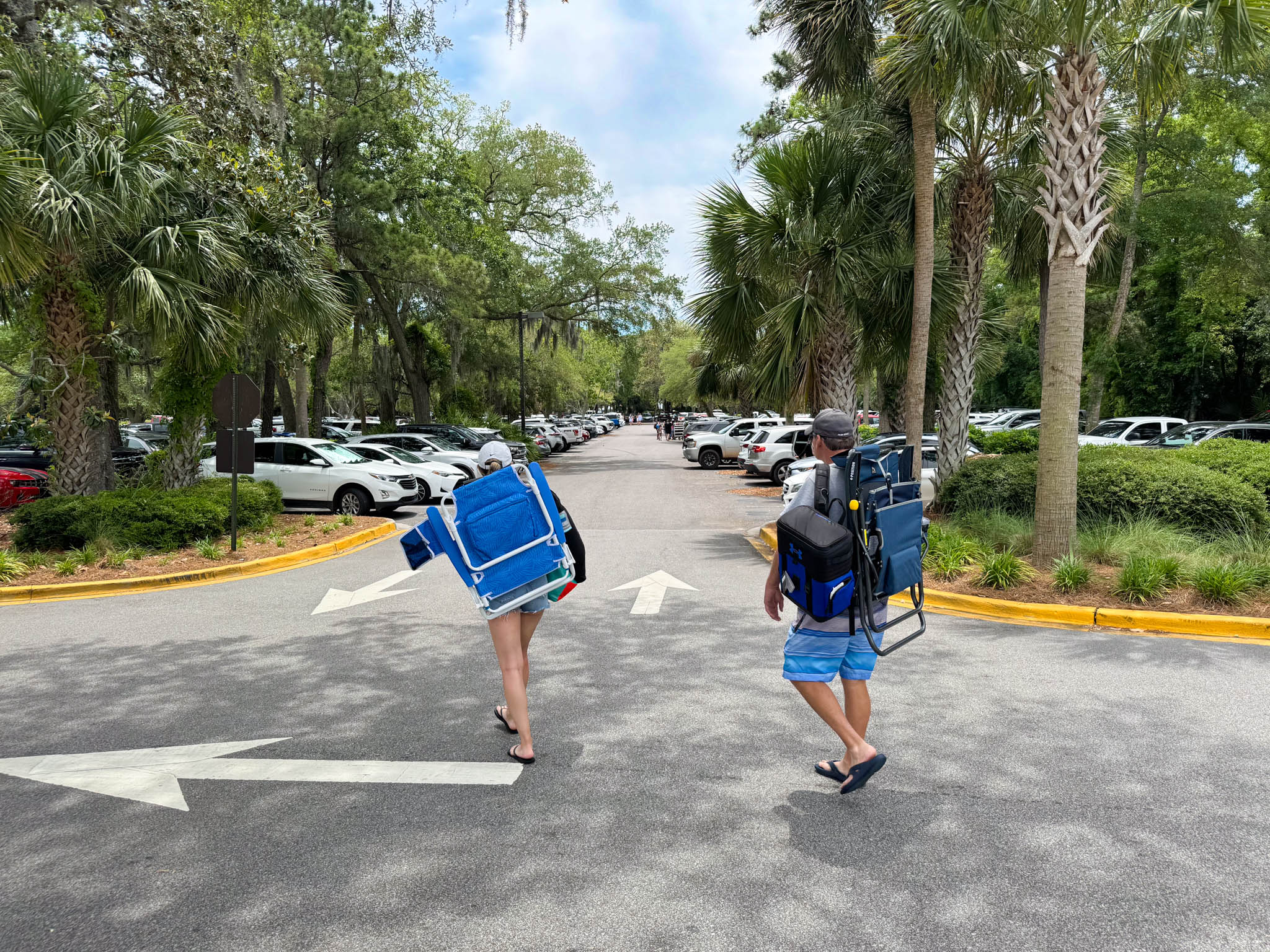 hilton head 3